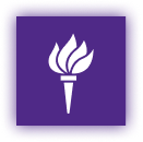 NYU Shanghai logo